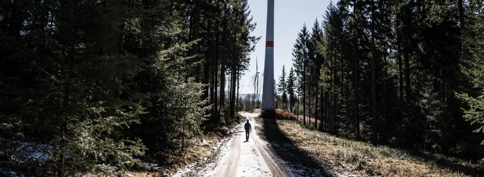 Wanderer auf einem Waldweg vor einer Windenergieanlage